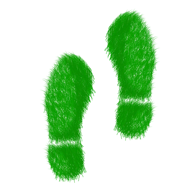 Grass Footprints